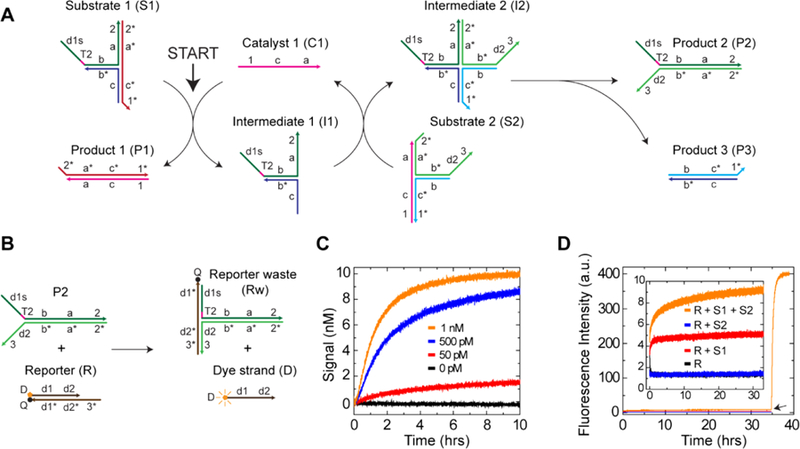 Figure 2.