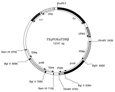 FIG. 1