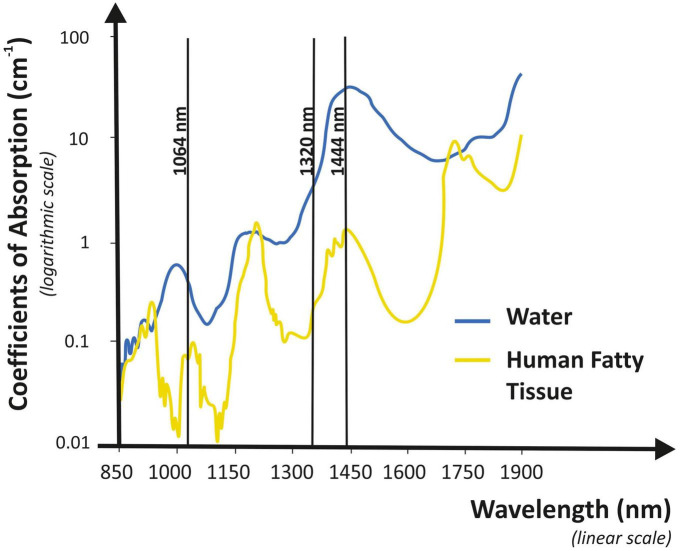 FIGURE 3