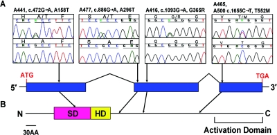 Figure  1. 