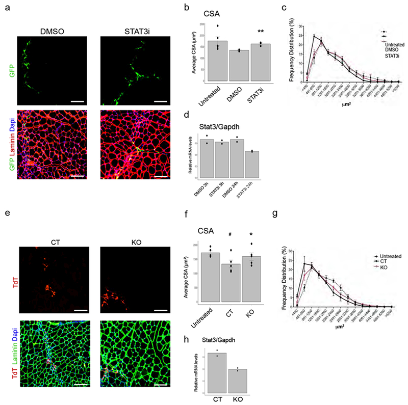 Figure 5: