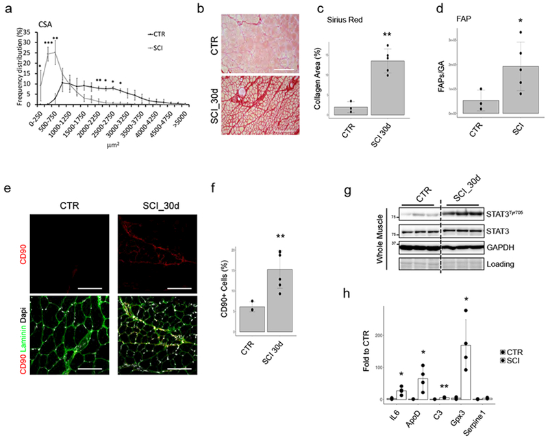 Figure 6: