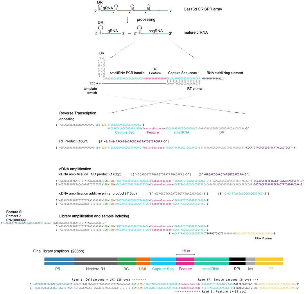 Extended Data Fig. 2 |