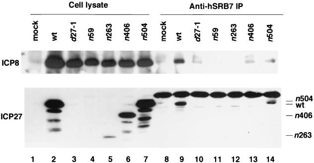 FIG. 7.