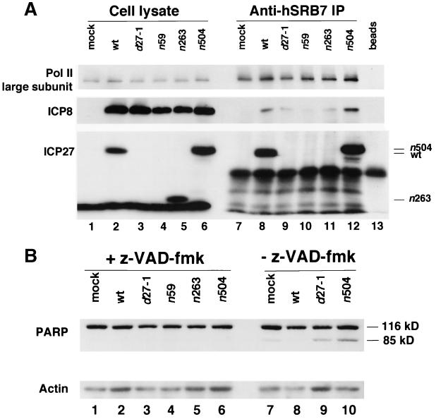 FIG. 8.