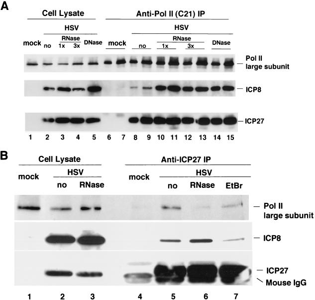 FIG. 9.