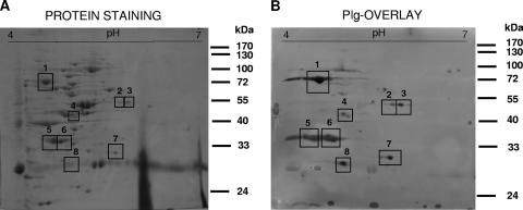 FIG. 4.