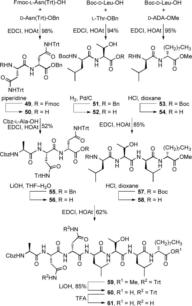 Scheme 7