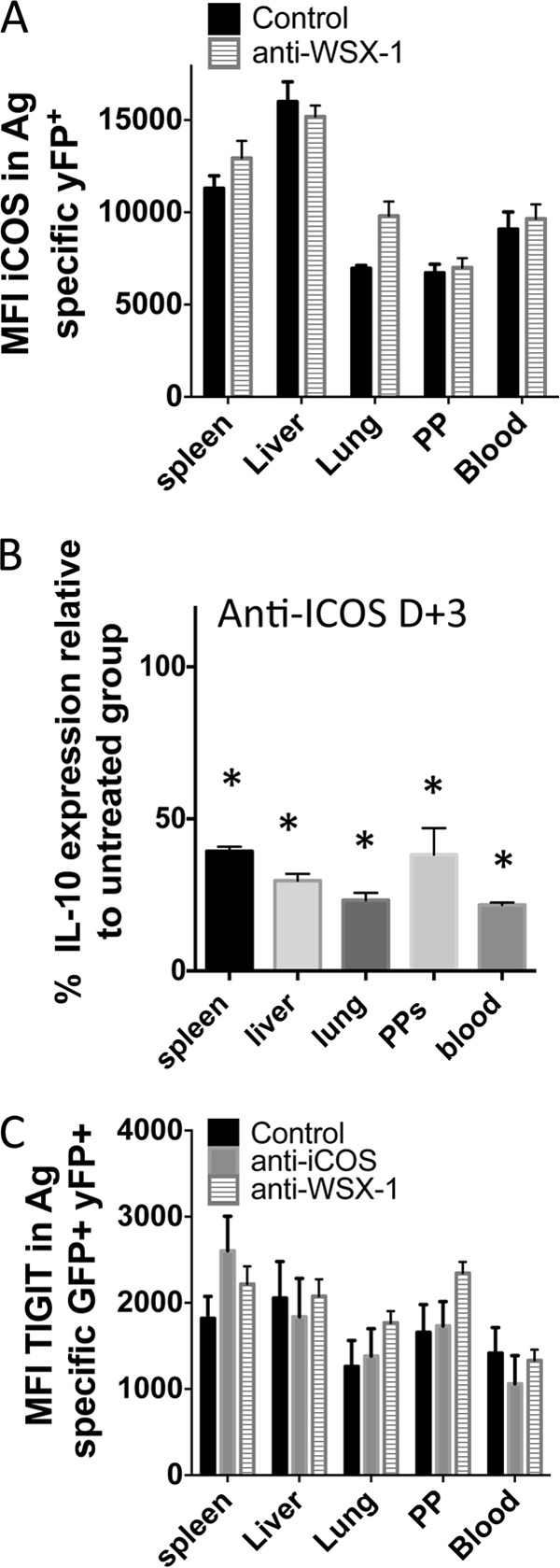 FIG 8