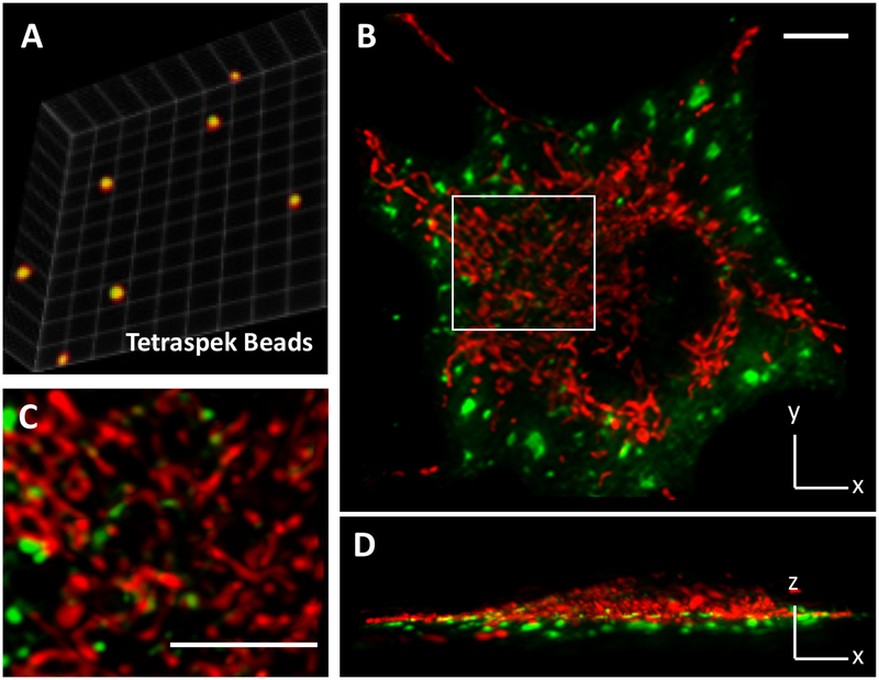 Figure 2.