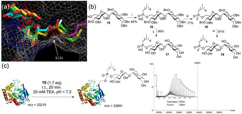 Figure 4.