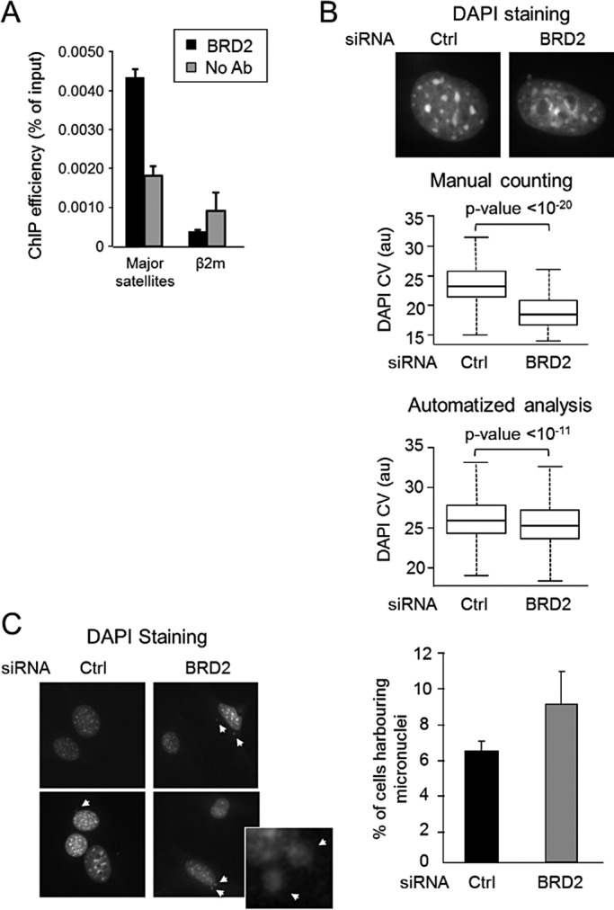 FIGURE 6: