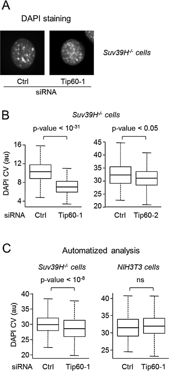 FIGURE 3: