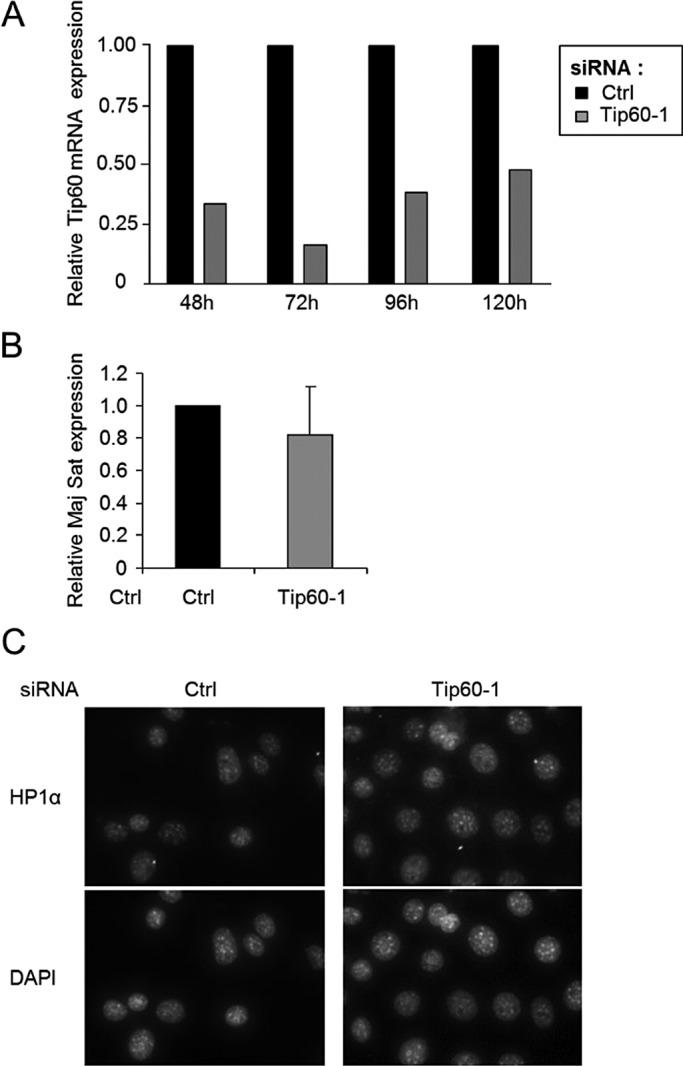 FIGURE 1: