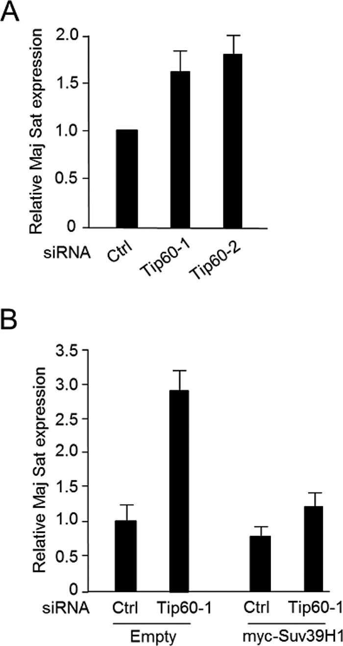 FIGURE 4: