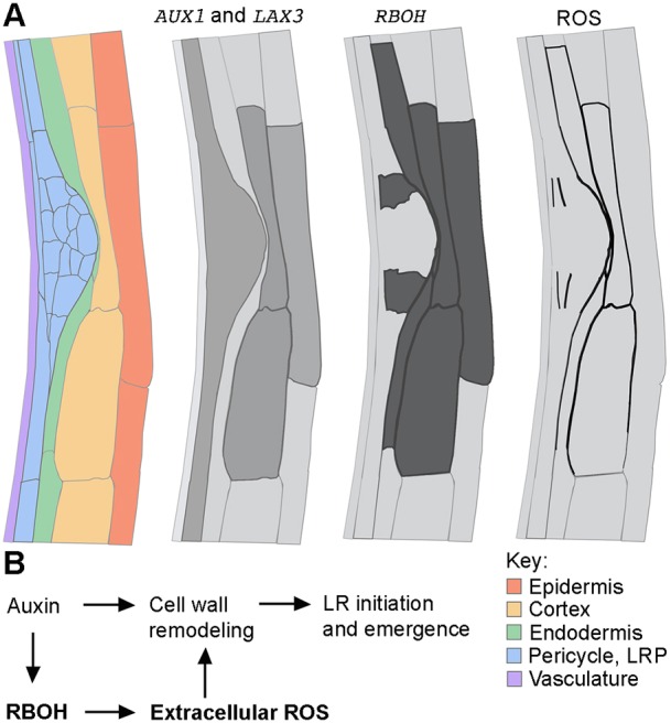 Fig. 7.