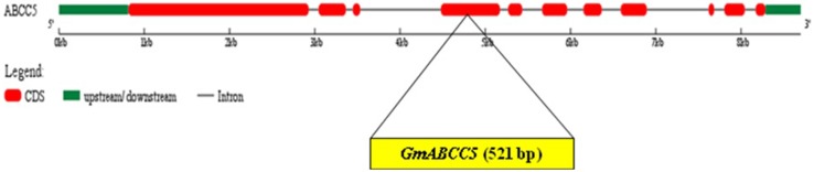 Fig. 2