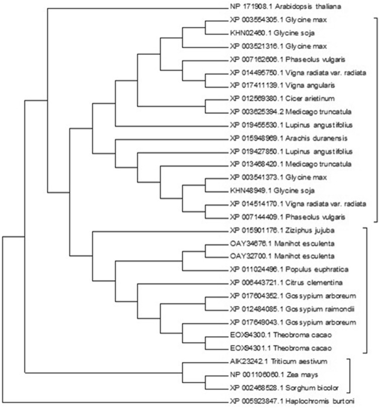 Fig. 7