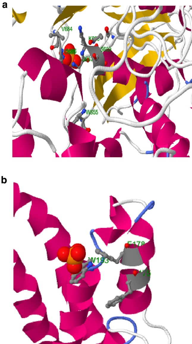 Fig. 10