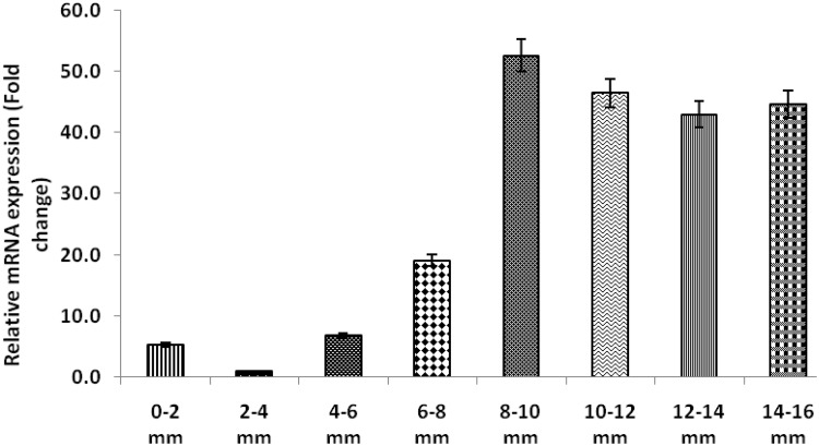 Fig. 4