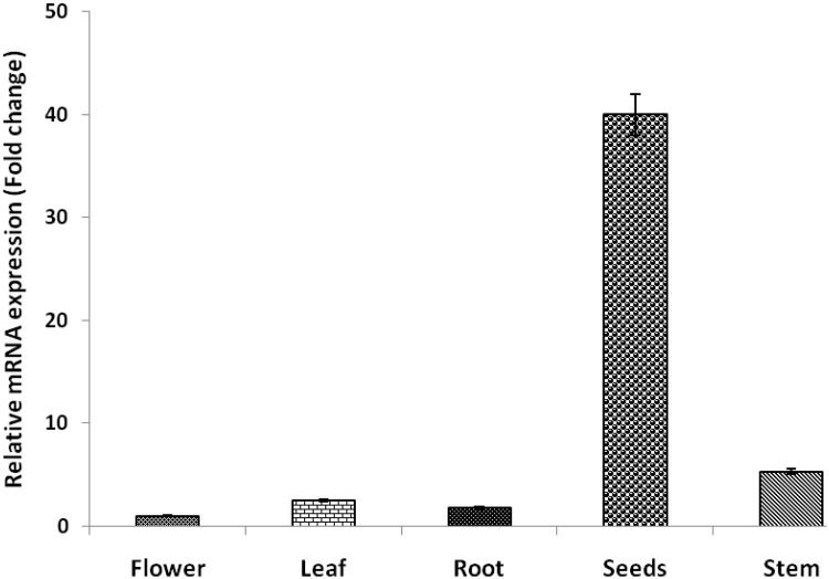 Fig. 3