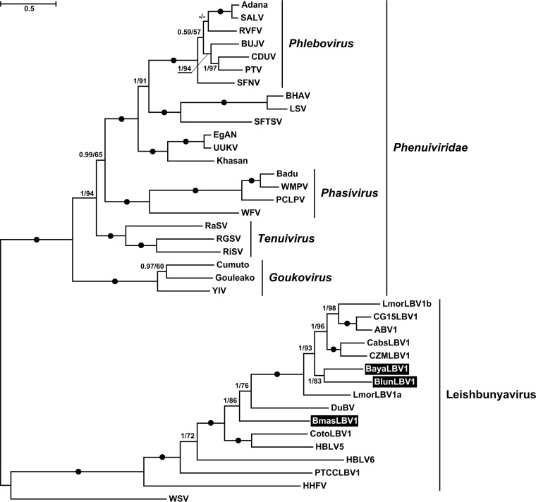 FIG 3