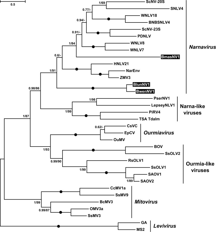 FIG 4