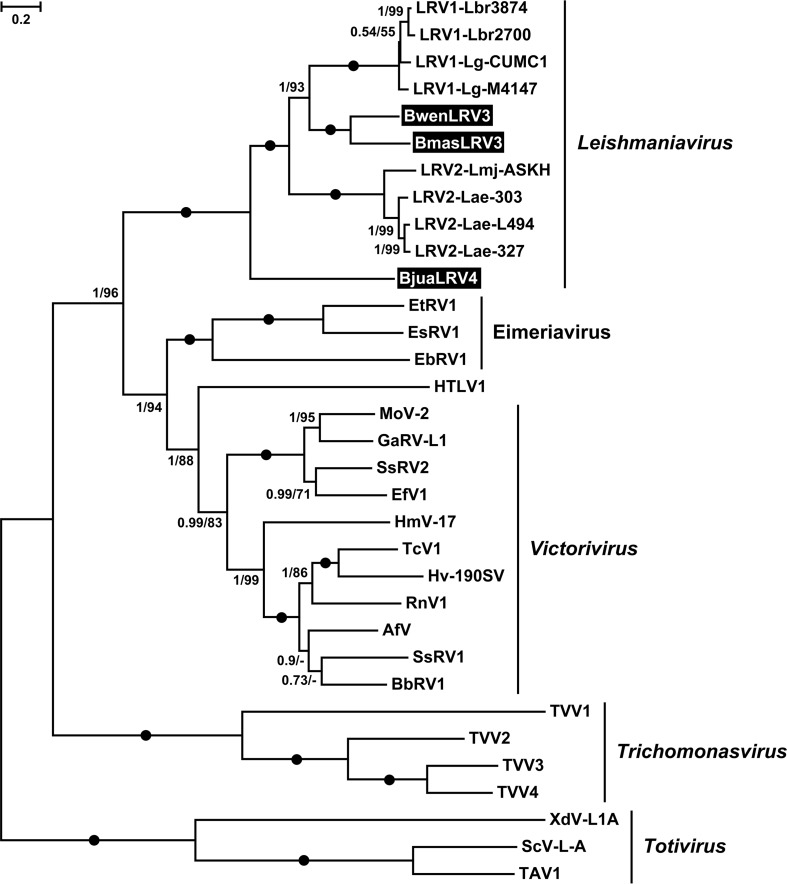 FIG 5