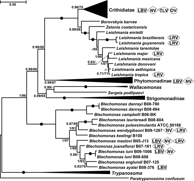 FIG 2