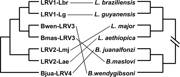 FIG 6