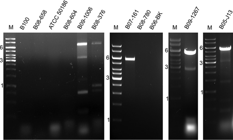 FIG 1