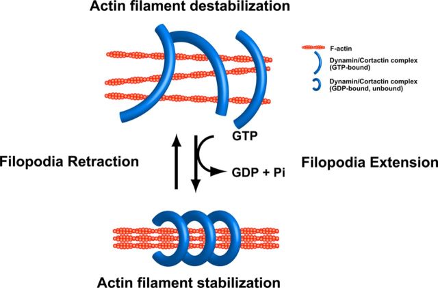 Figure 10.