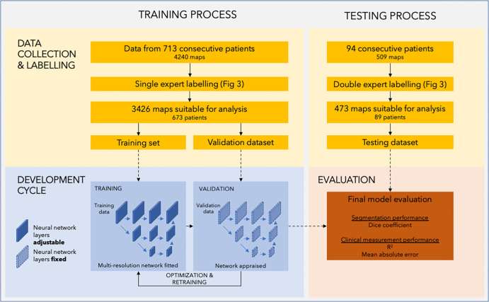 Diagram of the study process. The study comprises two separate datasets used in two stages. The training and validation datasets were used in model development. The training set was used to directly adjust the parameters of the neural network, while the validation dataset was used to continuously monitor performance during training and tune hyperparameters. The testing dataset was used in the testing process to evaluate the performance of the final model.