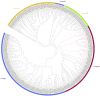 Figure 7