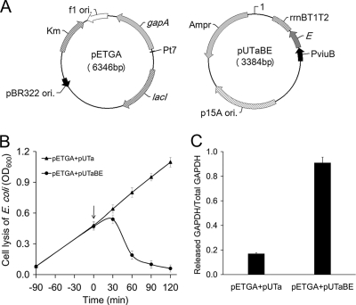 Fig. 4.