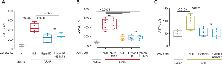 Figure 3—figure supplement 1.