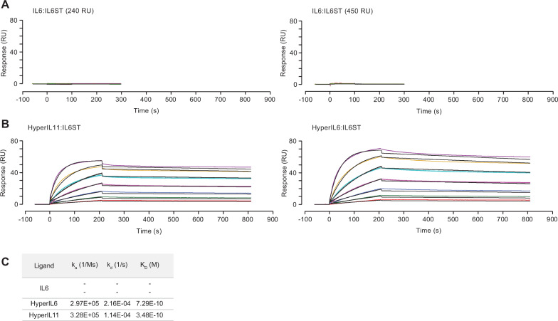 Figure 1—figure supplement 2.