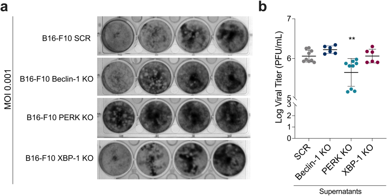 Fig. 5