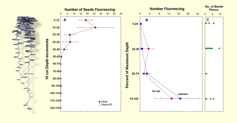 Fig 5