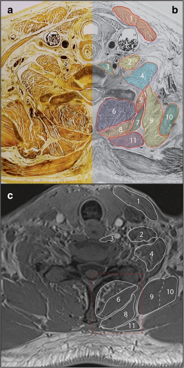 Fig. 3