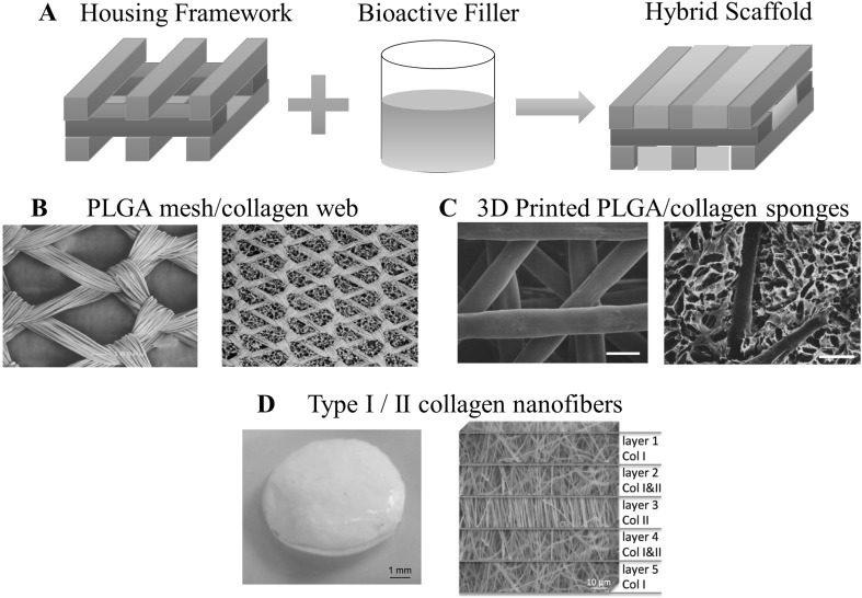 Fig. 11