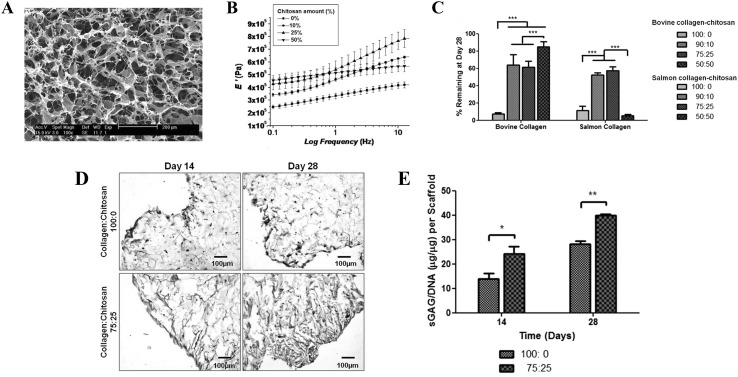 Fig. 8