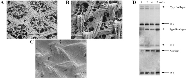 Fig. 12