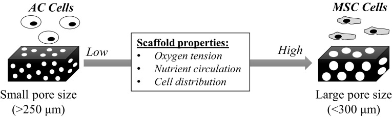 Fig. 5