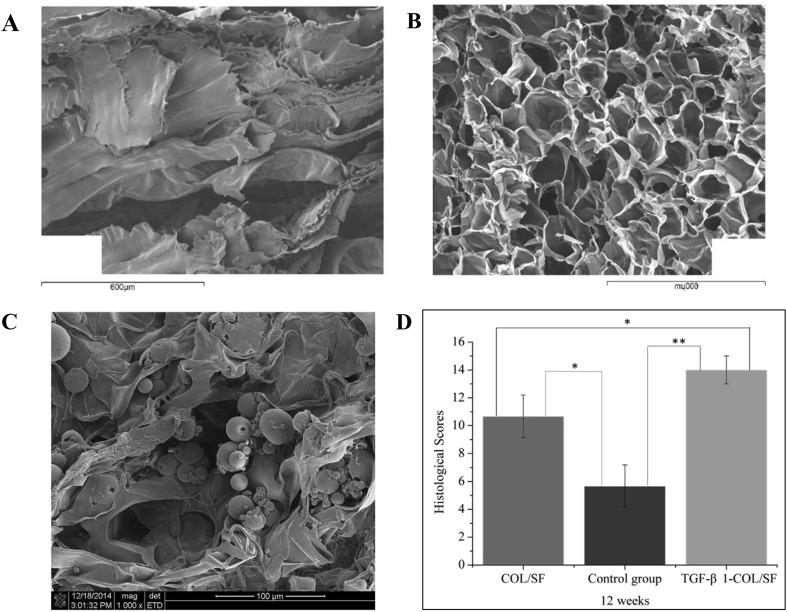 Fig. 7