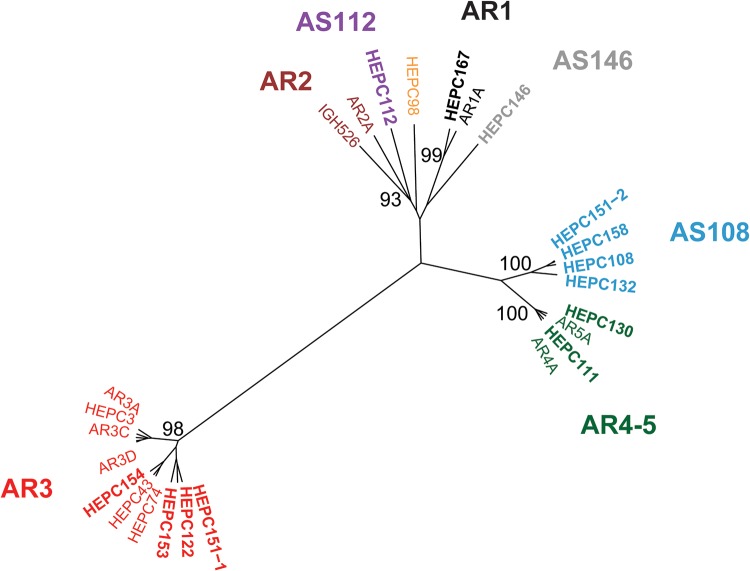 FIG 2