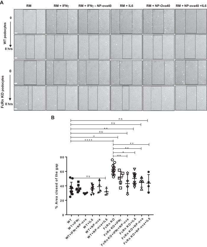 Fig. 6.