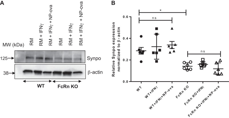 Fig. 8.