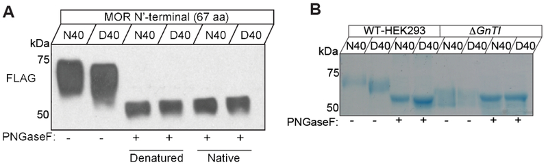 Figure 5 |