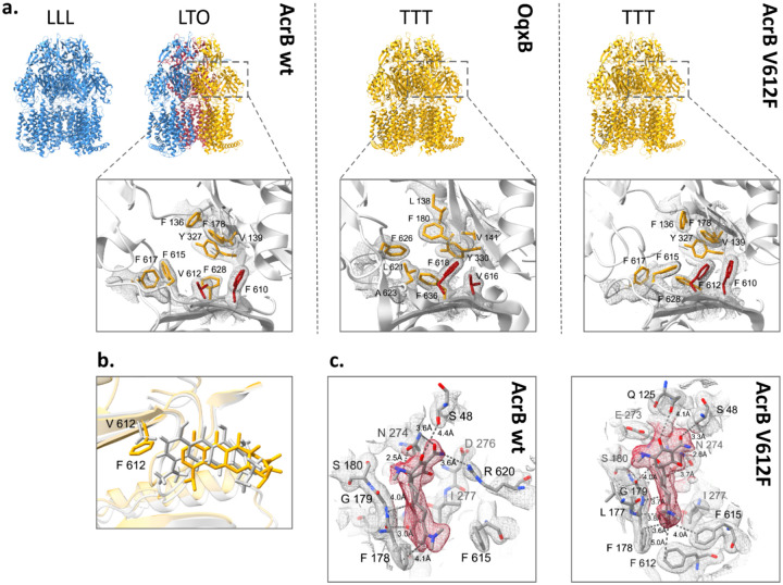 Figure 2: